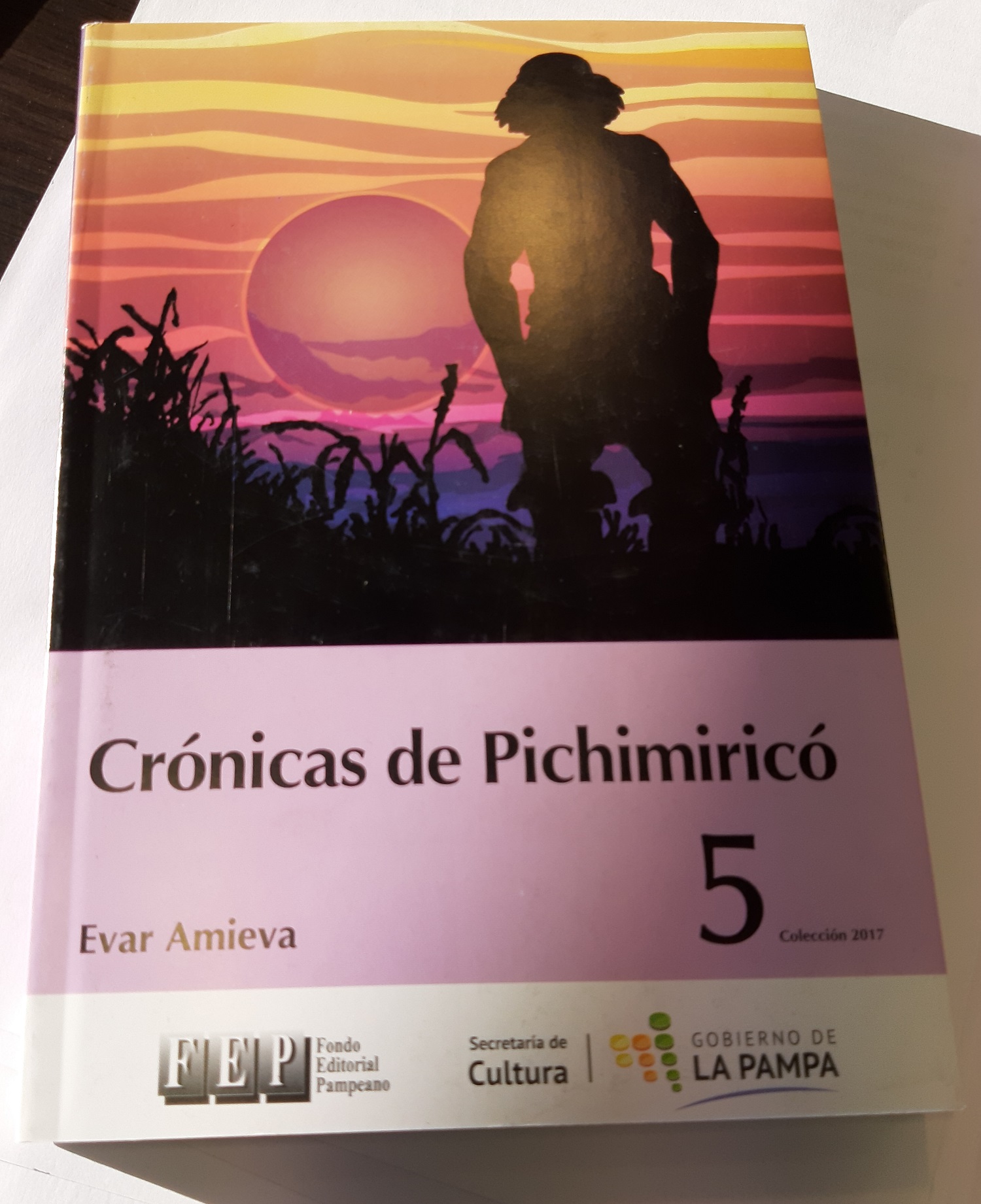 Crónicas de Pichimirico 1