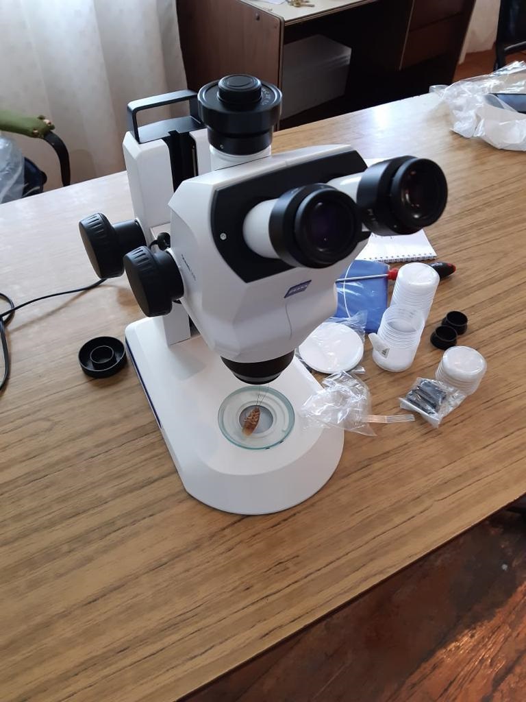 Microscopio1